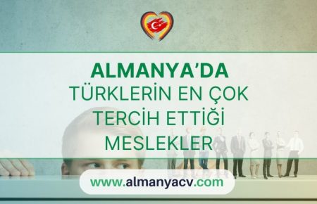 Almanya'da Türklerin en çok tercih ettiği meslekler